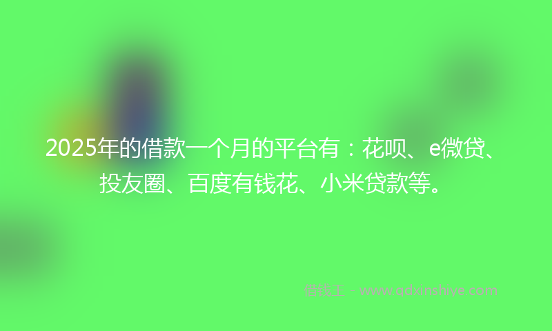2025年的借款一个月的平台有：花呗、e微贷、投友圈、百度有钱花、小米贷款等。