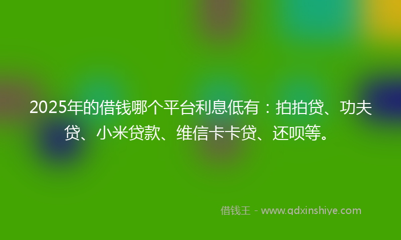 2025年的借钱哪个平台利息低有：拍拍贷、功夫贷、小米贷款、维信卡卡贷、还呗等。