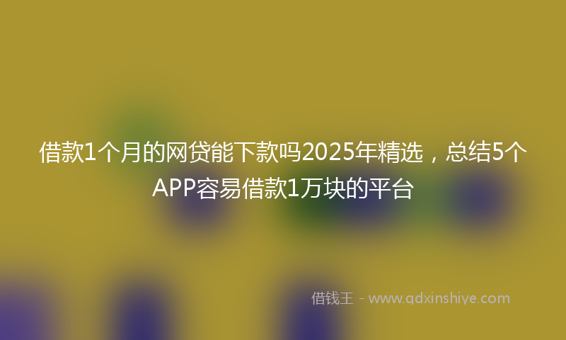 借款1个月的网贷能下款吗2025年精选，总结5个APP容易借款1万块的平台