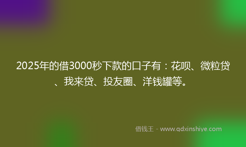 2025年的借3000秒下款的口子有：花呗、微粒贷、我来贷、投友圈、洋钱罐等。