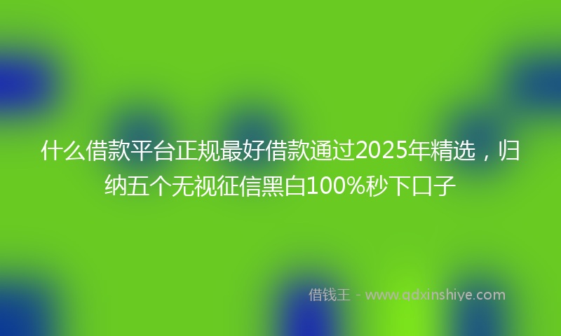 什么借款平台正规最好借款通过2025年精选，归纳五个无视征信黑白100%秒下口子