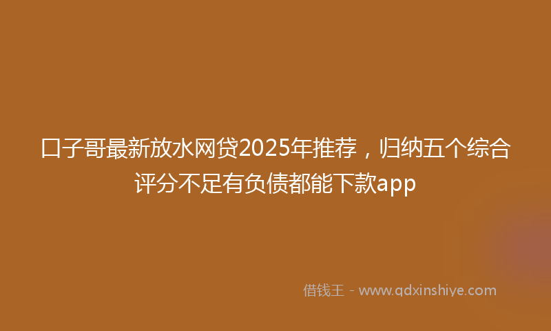 口子哥最新放水网贷2025年推荐，归纳五个综合评分不足有负债都能下款app