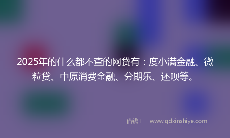 2025年的什么都不查的网贷有：度小满金融、微粒贷、中原消费金融、分期乐、还呗等。