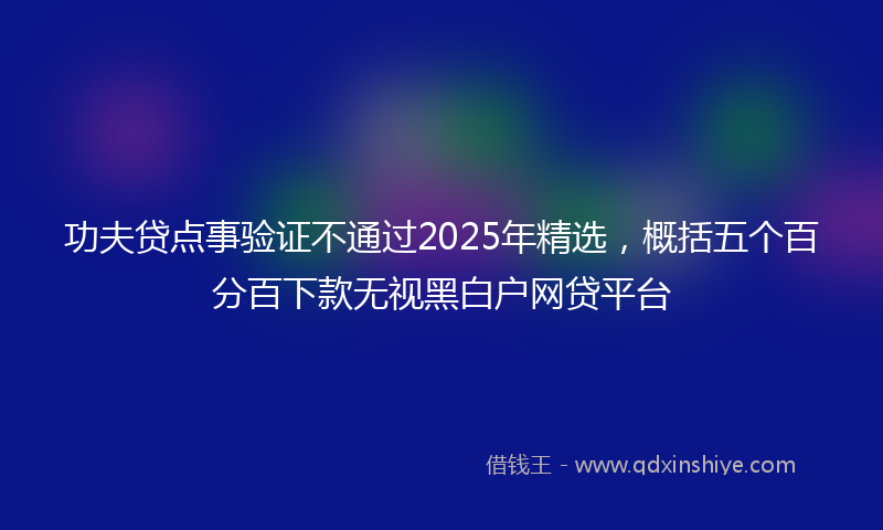 功夫贷点事验证不通过2025年精选，概括五个百分百下款无视黑白户网贷平台