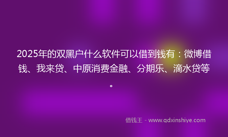 2025年的双黑户什么软件可以借到钱有：微博借钱、我来贷、中原消费金融、分期乐、滴水贷等。