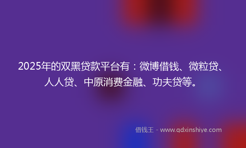 2025年的双黑贷款平台有：微博借钱、微粒贷、人人贷、中原消费金融、功夫贷等。