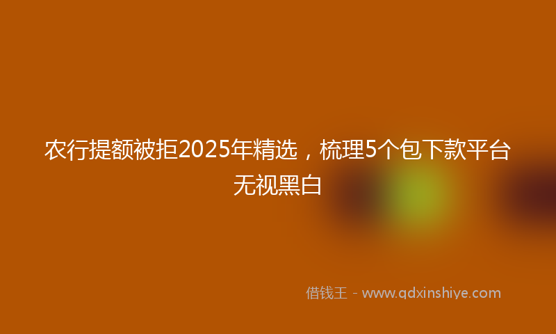 农行提额被拒2025年精选，梳理5个包下款平台无视黑白