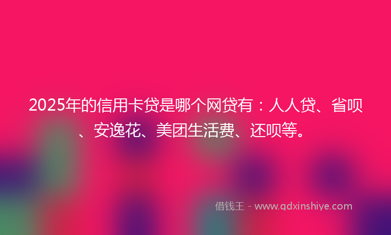 2025年的信用卡贷是哪个网贷有：人人贷、省呗、安逸花、美团生活费、还呗等。