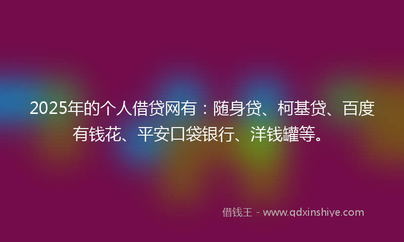 2025年的个人借贷网有：随身贷、柯基贷、百度有钱花、平安口袋银行、洋钱罐等。