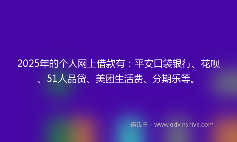 2025年的个人网上借款有：平安口袋银行、花呗、51人品贷、美团生活费、分期乐等。