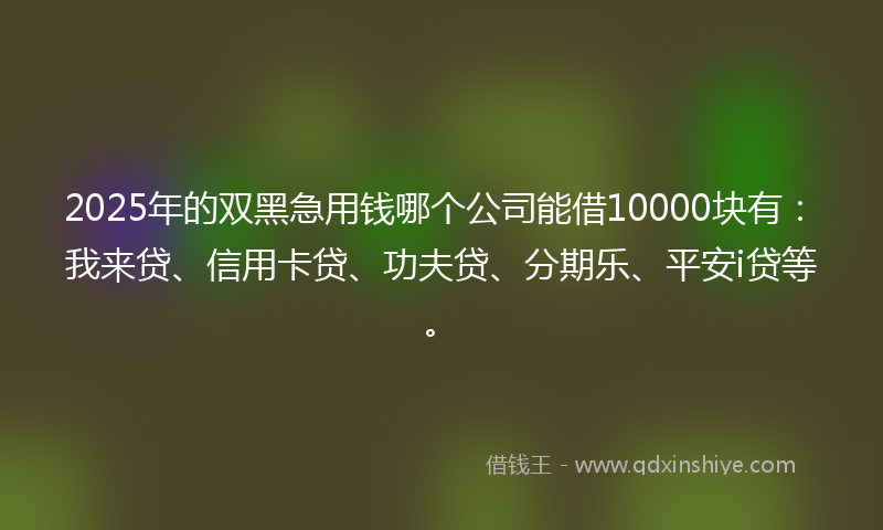 2025年的双黑急用钱哪个公司能借10000块有：我来贷、信用卡贷、功夫贷、分期乐、平安i贷等。