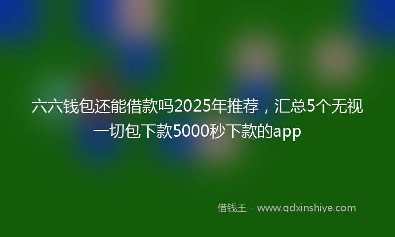 六六钱包还能借款吗2025年推荐，汇总5个无视一切包下款5000秒下款的app