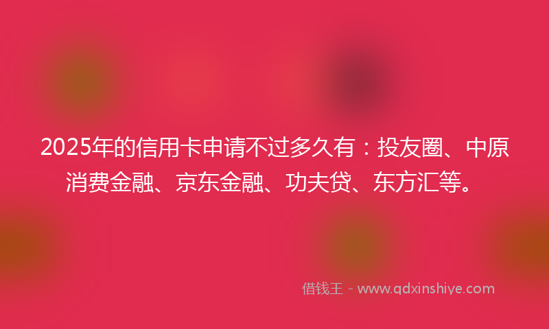 2025年的信用卡申请不过多久有：投友圈、中原消费金融、京东金融、功夫贷、东方汇等。