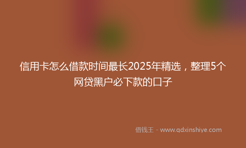 信用卡怎么借款时间最长2025年精选，整理5个网贷黑户必下款的口子