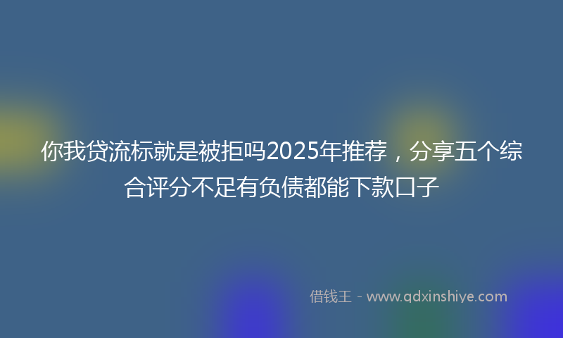 你我贷流标就是被拒吗2025年推荐，分享五个综合评分不足有负债都能下款口子