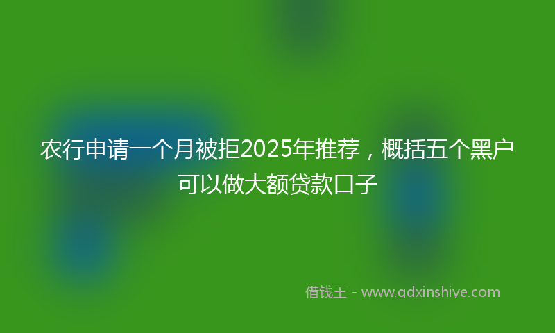 农行申请一个月被拒2025年推荐，概括五个黑户可以做大额贷款口子