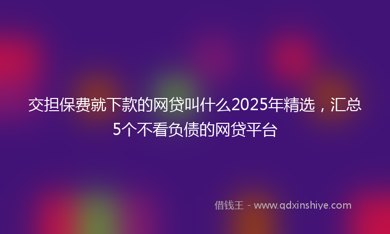 交担保费就下款的网贷叫什么2025年精选，汇总5个不看负债的网贷平台