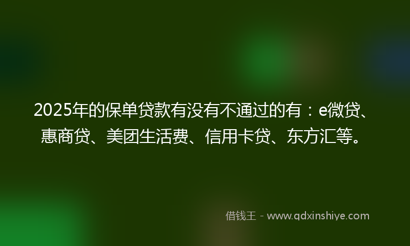 2025年的保单贷款有没有不通过的有：e微贷、惠商贷、美团生活费、信用卡贷、东方汇等。
