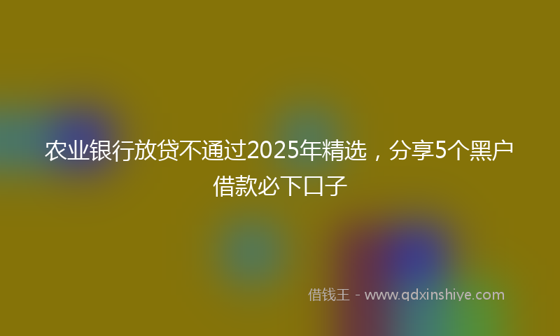 农业银行放贷不通过2025年精选，分享5个黑户借款必下口子