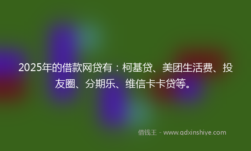 2025年的借款网贷有：柯基贷、美团生活费、投友圈、分期乐、维信卡卡贷等。