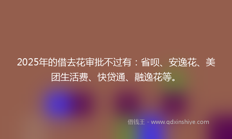 2025年的借去花审批不过有：省呗、安逸花、美团生活费、快贷通、融逸花等。