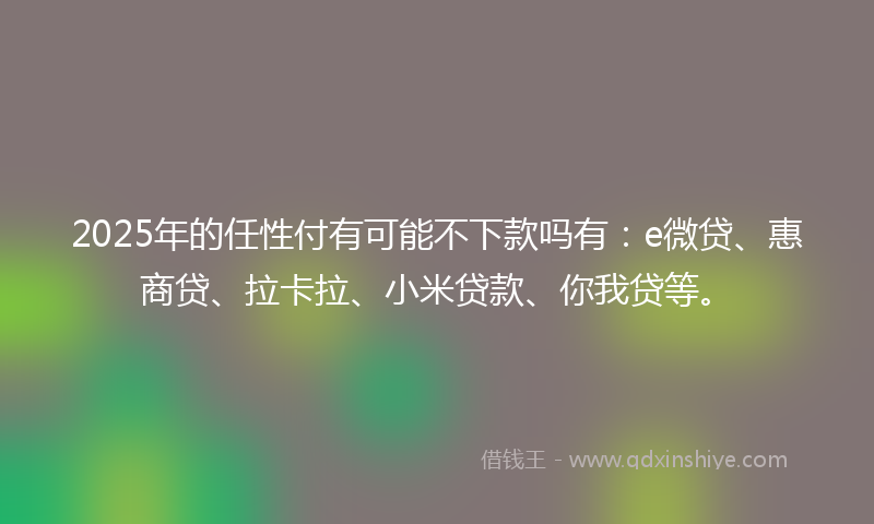 2025年的任性付有可能不下款吗有：e微贷、惠商贷、拉卡拉、小米贷款、你我贷等。