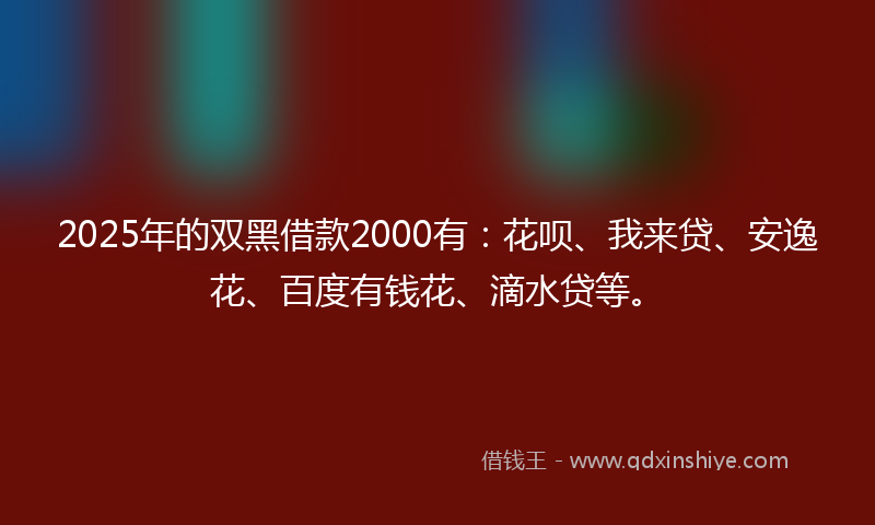 2025年的双黑借款2000有：花呗、我来贷、安逸花、百度有钱花、滴水贷等。