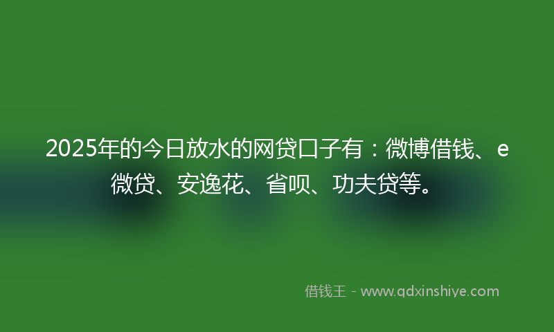 2025年的今日放水的网贷口子有：微博借钱、e微贷、安逸花、省呗、功夫贷等。