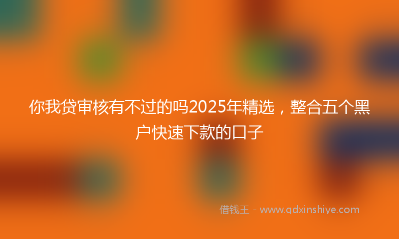 你我贷审核有不过的吗2025年精选，整合五个黑户快速下款的口子