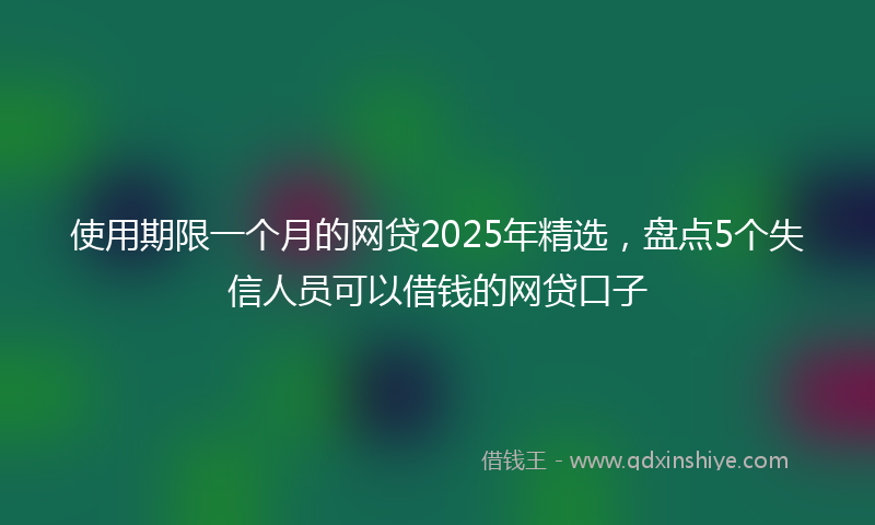 使用期限一个月的网贷2025年精选，盘点5个失信人员可以借钱的网贷口子