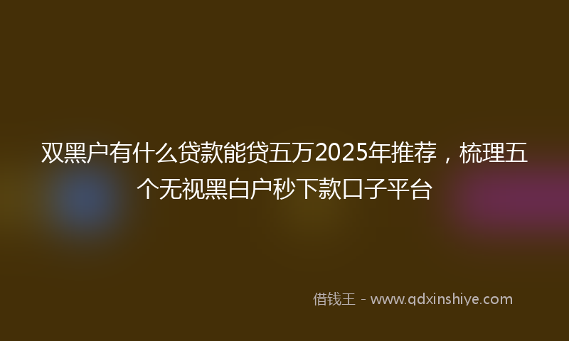 双黑户有什么贷款能贷五万2025年推荐，梳理五个无视黑白户秒下款口子平台