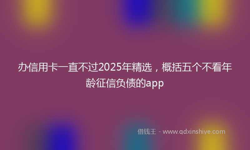 办信用卡一直不过2025年精选，概括五个不看年龄征信负债的app