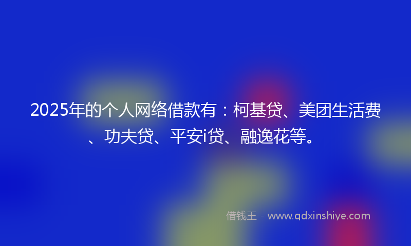 2025年的个人网络借款有：柯基贷、美团生活费、功夫贷、平安i贷、融逸花等。