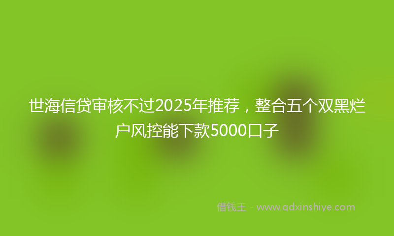 世海信贷审核不过2025年推荐，整合五个双黑烂户风控能下款5000口子