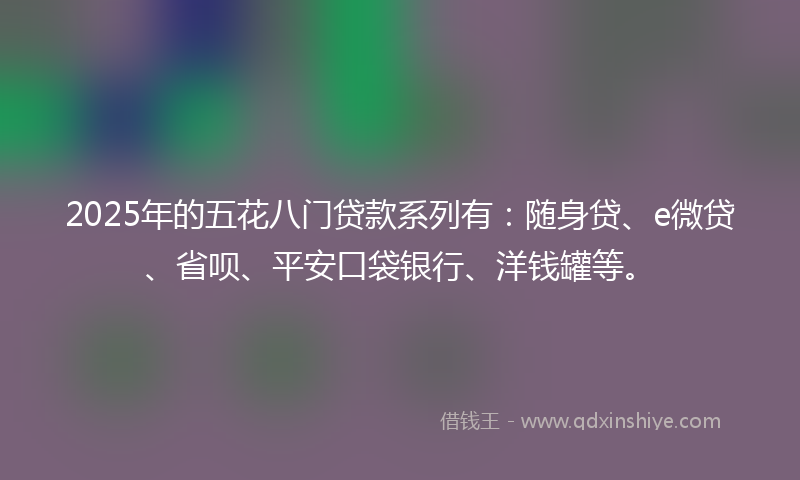 2025年的五花八门贷款系列有：随身贷、e微贷、省呗、平安口袋银行、洋钱罐等。