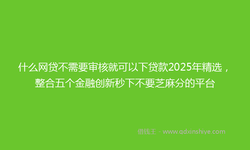什么网贷不需要审核就可以下贷款2025年精选，整合五个金融创新秒下不要芝麻分的平台