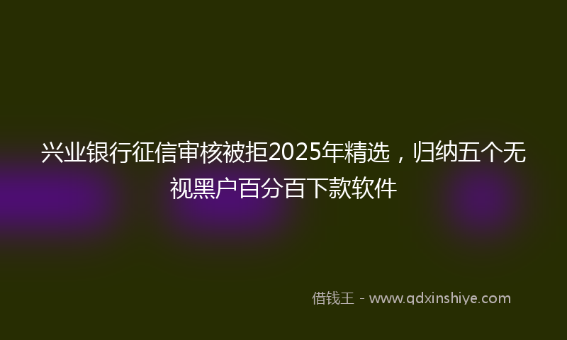 兴业银行征信审核被拒2025年精选，归纳五个无视黑户百分百下款软件