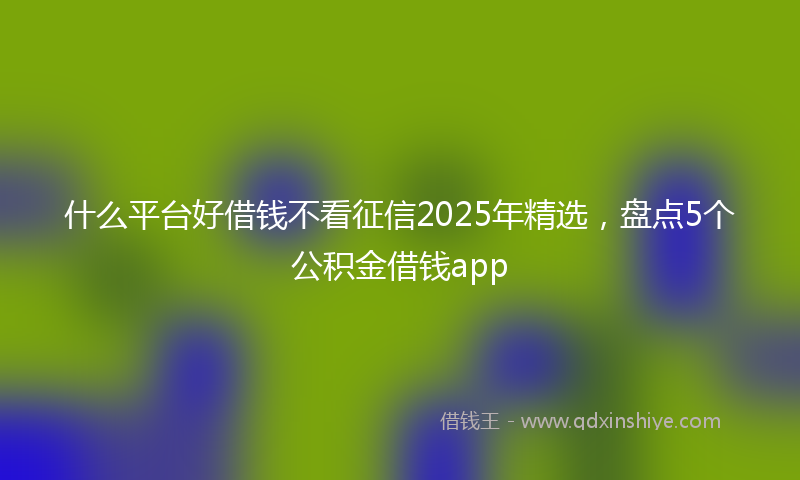什么平台好借钱不看征信2025年精选，盘点5个公积金借钱app