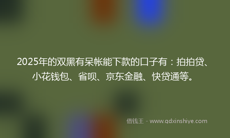 2025年的双黑有呆帐能下款的口子有：拍拍贷、小花钱包、省呗、京东金融、快贷通等。
