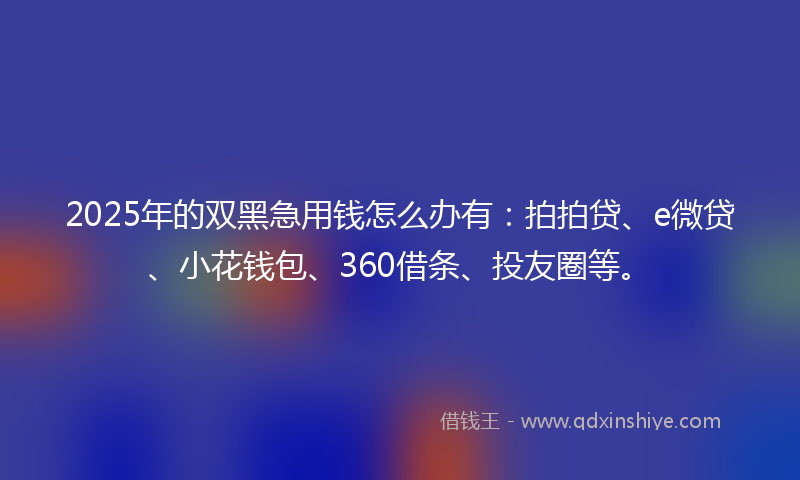 2025年的双黑急用钱怎么办有：拍拍贷、e微贷、小花钱包、360借条、投友圈等。