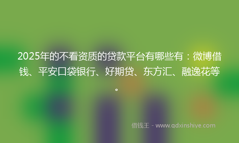 2025年的不看资质的贷款平台有哪些有：微博借钱、平安口袋银行、好期贷、东方汇、融逸花等。