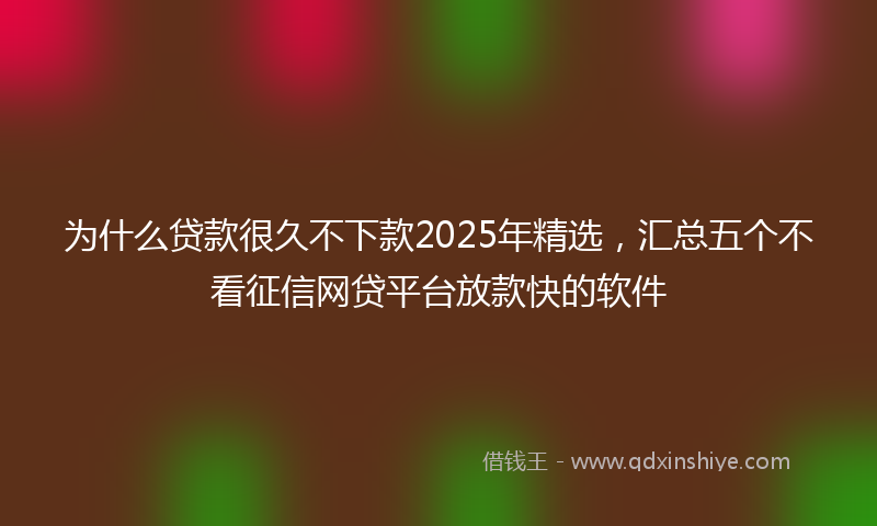 为什么贷款很久不下款2025年精选，汇总五个不看征信网贷平台放款快的软件