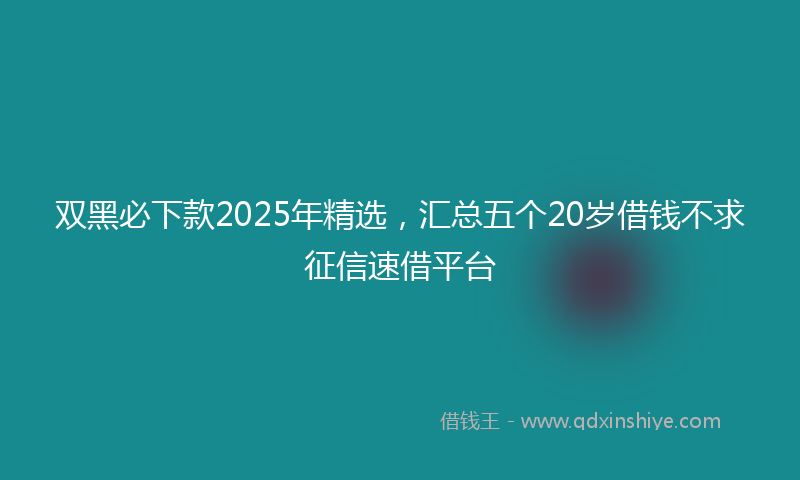 双黑必下款2025年精选，汇总五个20岁借钱不求征信速借平台