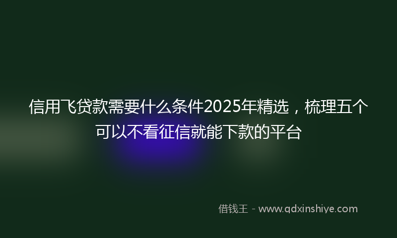 信用飞贷款需要什么条件2025年精选，梳理五个可以不看征信就能下款的平台