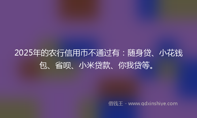 2025年的农行信用币不通过有：随身贷、小花钱包、省呗、小米贷款、你我贷等。
