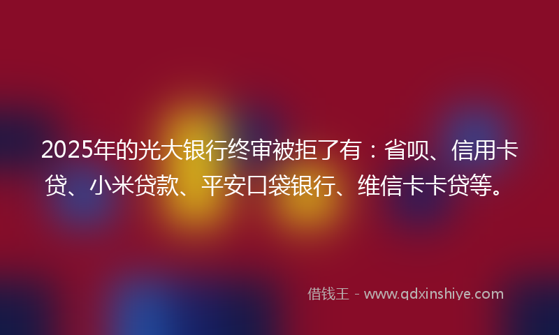 2025年的光大银行终审被拒了有：省呗、信用卡贷、小米贷款、平安口袋银行、维信卡卡贷等。