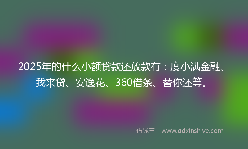 2025年的什么小额贷款还放款有：度小满金融、我来贷、安逸花、360借条、替你还等。