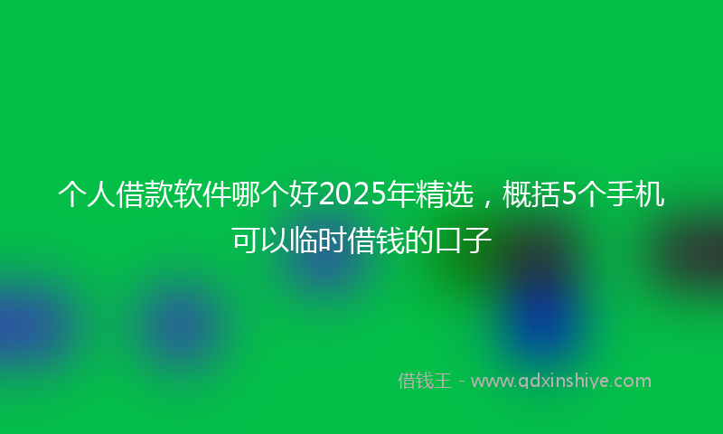 个人借款软件哪个好2025年精选，概括5个手机可以临时借钱的口子