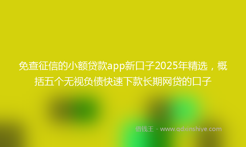 免查征信的小额贷款app新口子2025年精选，概括五个无视负债快速下款长期网贷的口子