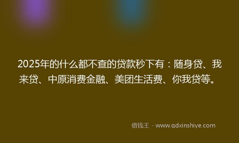 2025年的什么都不查的贷款秒下有：随身贷、我来贷、中原消费金融、美团生活费、你我贷等。